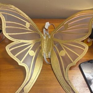 Gold and White Butterfly Wings